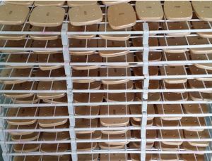 Bambŵ rhad Freeline sglefrio deciau gyda safon uchel